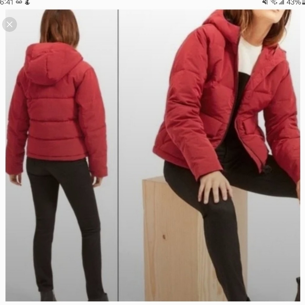 Everlane Cropped Puffer in Red